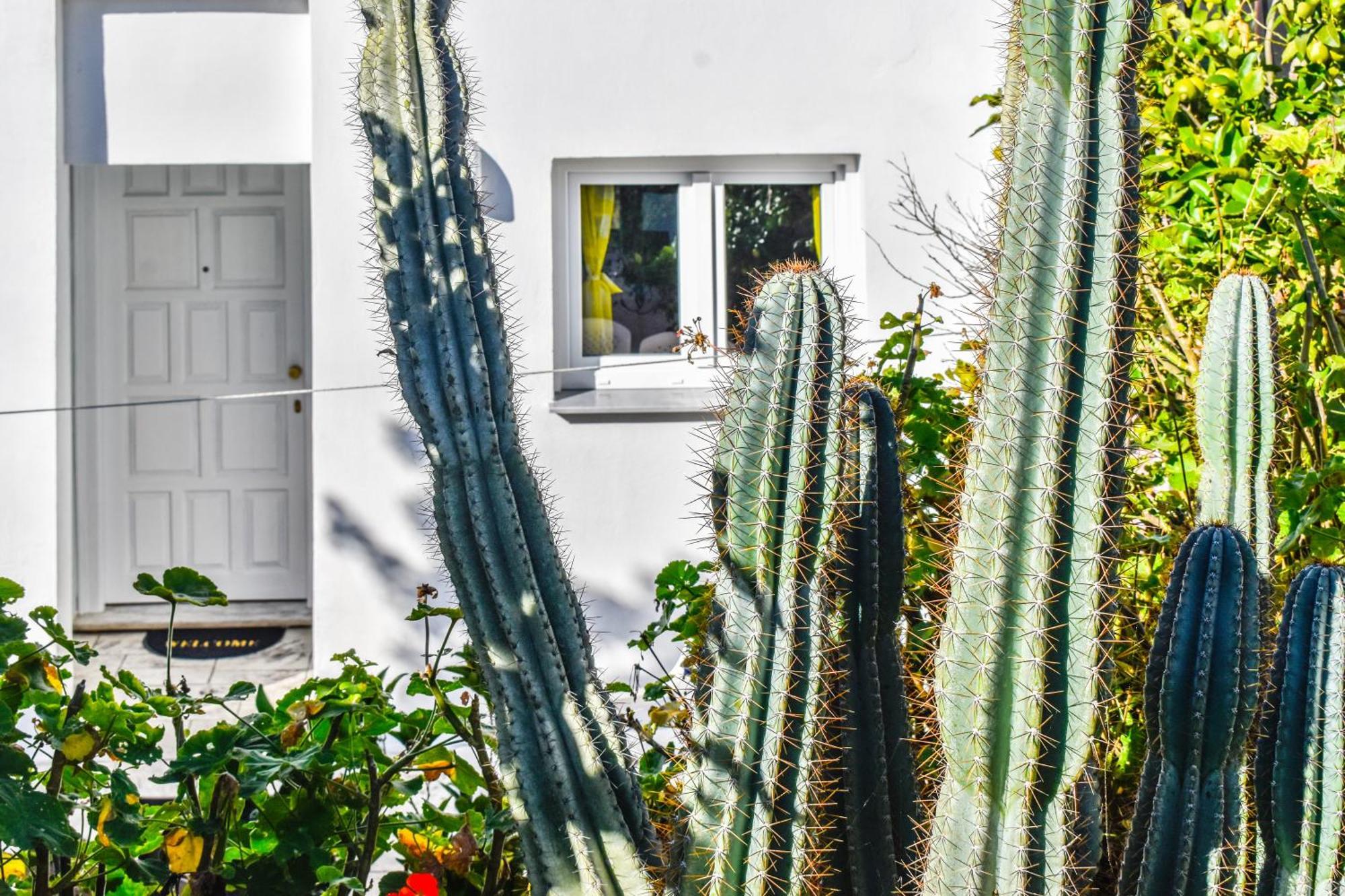 Nest View House Daire İskados Dış mekan fotoğraf